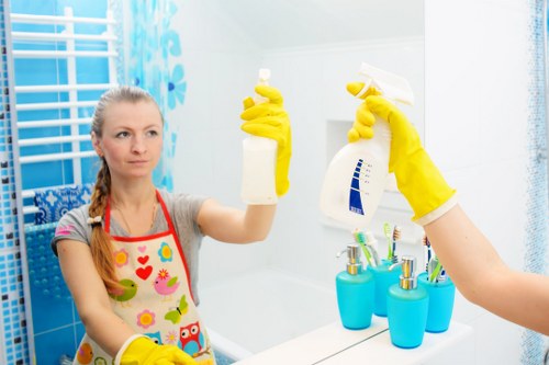 Professional commercial cleaning for a Hammersmith office environment