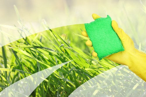 Professional carpet cleaning in a Hammersmith home with fresh flooring