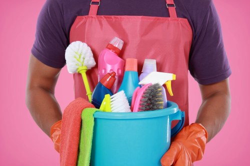 Professional carpet cleaning equipment used in a Hammersmith property