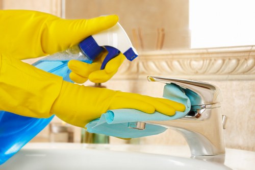 Professional carpet care in a local Hammersmith property