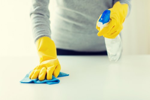Gutter clearance service for homes and businesses in Hammersmith