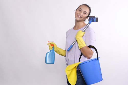 Commercial regular cleaning for a Hammersmith office