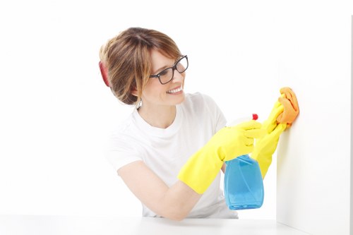 Local cleaner maintaining a Hammersmith apartment