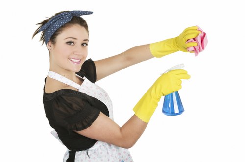 Local cleaner treating pet odour and stains in a Hammersmith flat