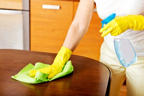 Professional carpet cleaning process in progress