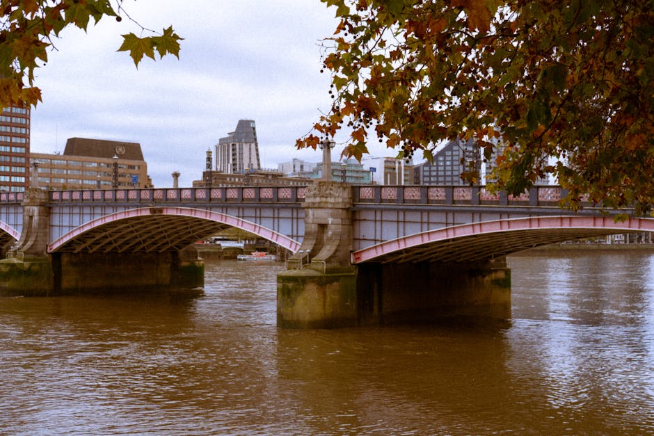 A detailed view of Hammersmith Bridge spanning the river, featuring a metal structure with pink and gray accents, supported by stone piers protruding from the water. The bridge's surface appears clean and well-maintained, with no visible debris or grime. In the background, modern high-rise buildings and historic architecture create an urban skyline. An overhanging branch with autumn-colored leaves partially frames the scene in the upper right corner, illuminated by soft natural lighting, suggesting a calm and overcast day. This image emphasizes the structural details of the bridge and the reflective surface of the river, in line with surface cleaning and maintenance themes associated with residential and commercial cleaning services like those offered by Hammersmith Carpet Cleaners during routine deep cleaning and sanitisation of property surfaces near the river.