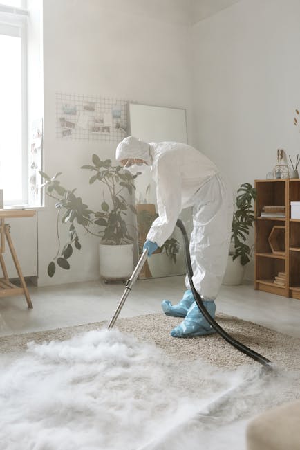 A professional cleaner wearing a white protective suit, gloves, and a hood is using a vacuum or steam cleaning device on a beige, textured carpet in a bright, modern room. The room features white walls, a wooden sideboard on the right with decorative items, a large leafy plant in a white pot, and a window allowing natural light to illuminate the space. The cleanliness appears to be in progress, with the cleaner focusing on deep cleaning the carpet surface. This scene exemplifies surface cleaning and sanitisation as part of domestic cleaning services offered by Hammersmith Carpet Cleaners in the Hammersmith Broadway W6 area.